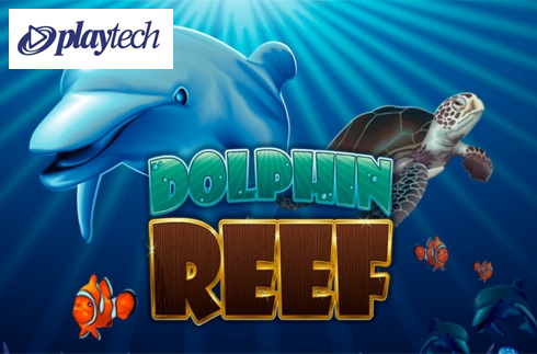 Dolphin Reef