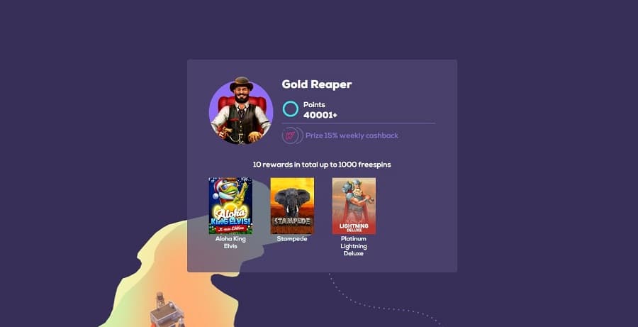Wild fortune loyalty program